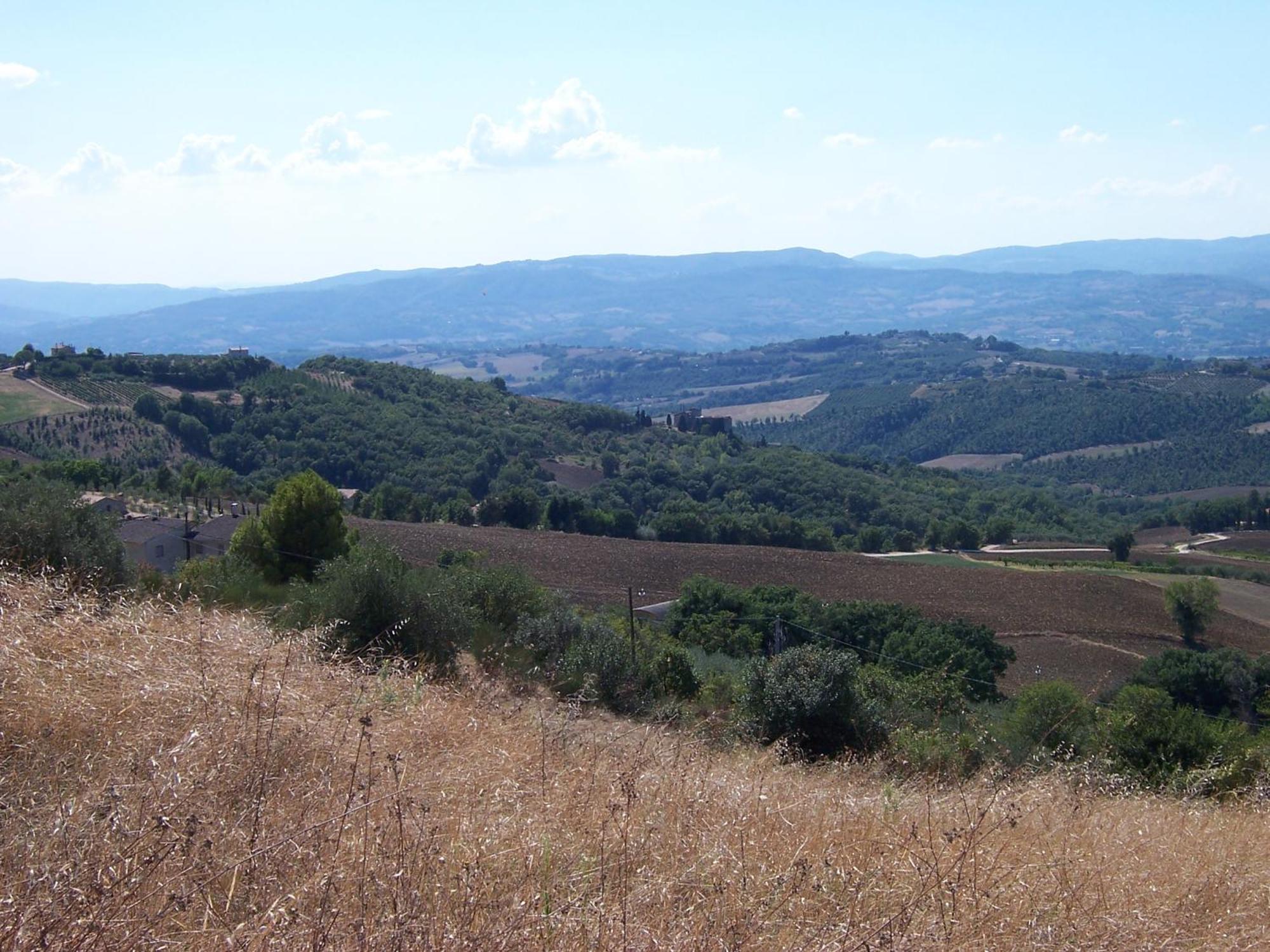 San Terenziano Agriturismo La Casella מראה חיצוני תמונה